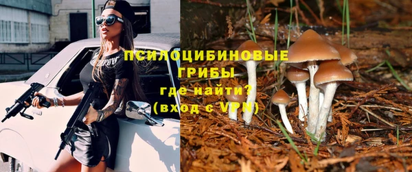 меф Алексин