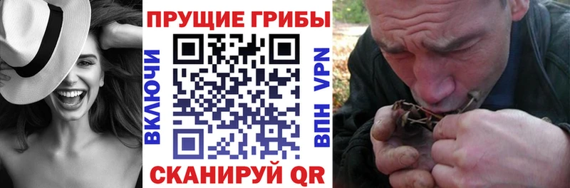 даркнет формула Шелехов Псилоцибиновые грибы Psilocybe